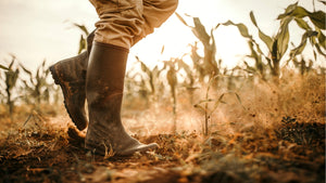 The Squeaky Boot Chronicles: Every Step's a Telltale Heartbeat