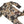 Deer Camo Zippy