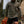 Camp Hoodie - Bottomland